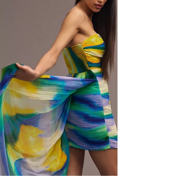 Anthropologie Vineet Bahl Blurred Sheer Mini Train Dress SIZE S new nwt - Picture 3 of 9